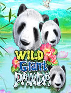 เทคนิคการเล่น slotxo แตก บ่อย ที่คุณไม่ควรพลาด